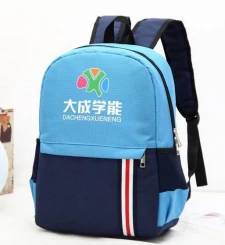 School Backpack TPE-2303